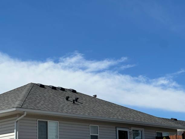 Fast & Reliable Emergency Roof Repairs in Norton Center, MA